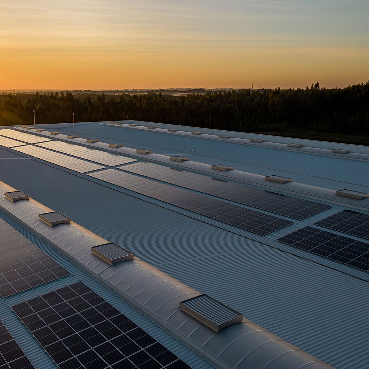 Dach einer Lagerhalle mit Solarpanelen für nachhaltigen Strom